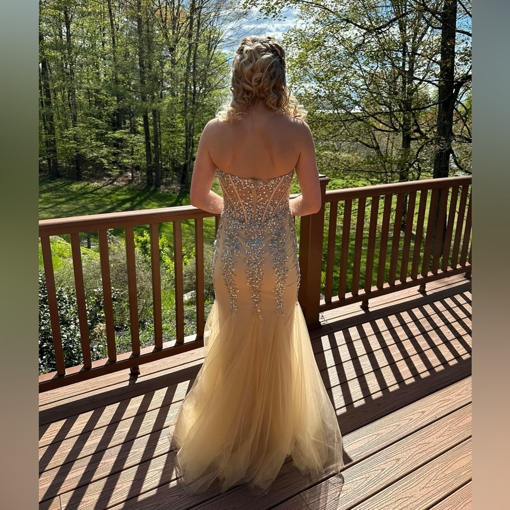 Prom Dress - Picture 3 of 3